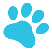 pet